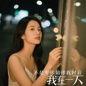 可惜不是你陪我到最后