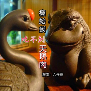 癞蛤蟆吃不到天鹅肉 (DJ版)