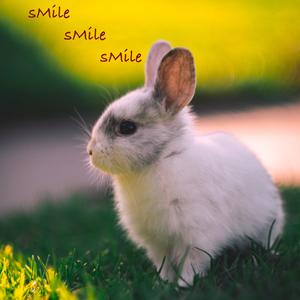 sMile sMile sMile