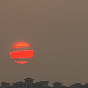 阳光下的咖啡香