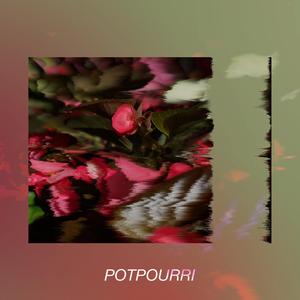Potpourri