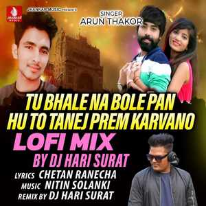 Tu Bhale Na Bole Pan Hu To Tanej Prem Karvano (Lofi Mix)
