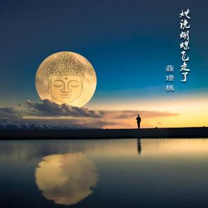 她说蝴蝶飞走了 DEMO