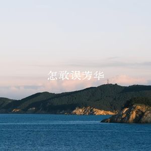 怎敢误芳华