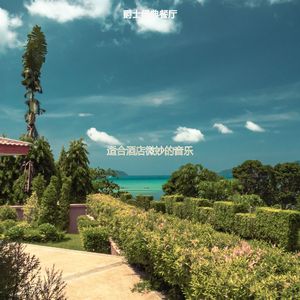 适合旅馆时尚的音乐