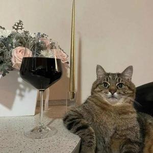 Прикосновение （男版）