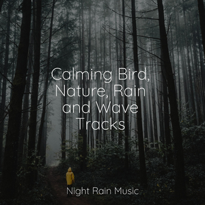 Medium Fire Crackling