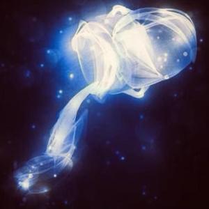 Aquarius(水瓶座）