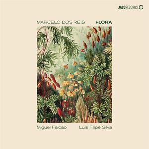 Big Tree (feat. Miguel Falcão & Luís Filipe Silva)