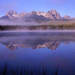 不见你的心难安