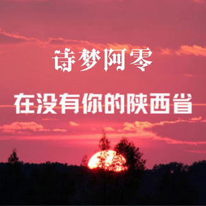 没有你的陕西省