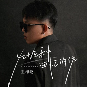 九十九种回忆的伤