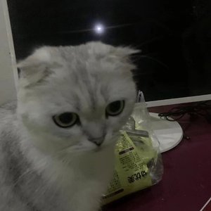 爱是一场浩大的冒险