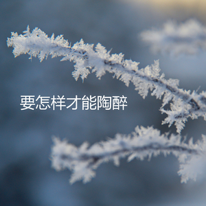 要怎样才能陶醉