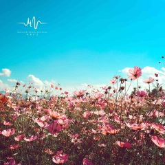 渔夫船 (扬琴采耳)