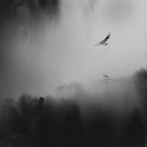 dans la lune (feat. cam85 & BIGBABYGUCCI)