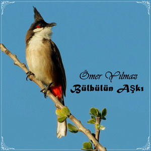 Bülbülün Aşkı