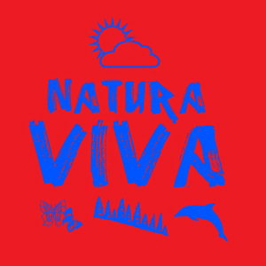 Dark Tango (Vlada Asanin Folk Remix)