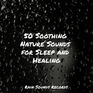 Monsoon Melodies in Saigon