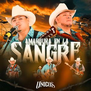 Amargura En La Sangre
