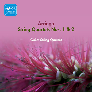 String Quartet No. 1 in D Minor:I. Allegro