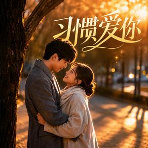 习惯爱你