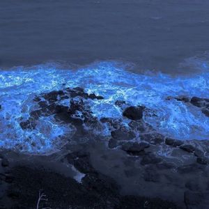 [Piano]Sleep aid music “Nostalgy”