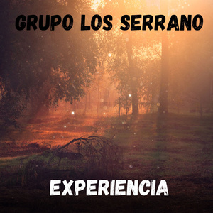 Experiencia