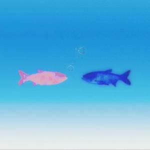 不回消息，你用的是座机吗？！