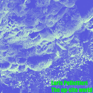 Alteration Insipidity