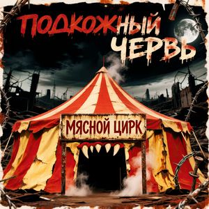 Коллапс