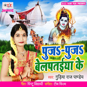 Puja Puja Belpataiya Ke