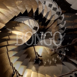 Bongo