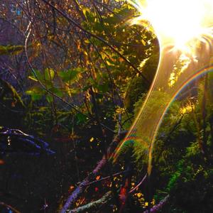 Yesterday, today, tommorrow