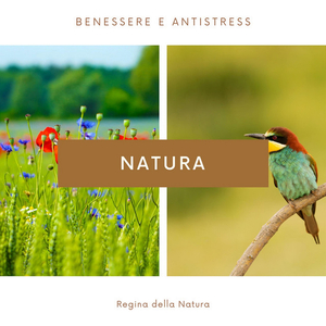 Rilasciare il passato