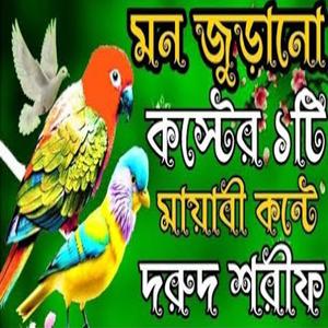 মন খারাপ থাকলে একবার শুনুন মনে শান্তি চলে আসবে ইনশাআল্লাহ্ ।। মধুর কণ্ঠে নবীর দরুদ শরীফ।