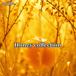 Honey collection