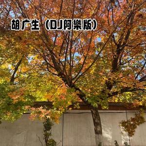 胡广生(DJ阿樂版)