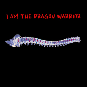 I am The Dragon Warrior