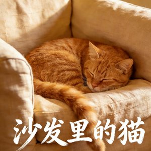 《沙发里的猫》