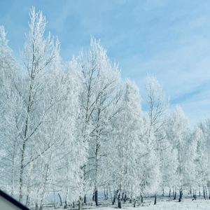 Дым без ответа