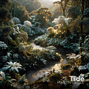Tide