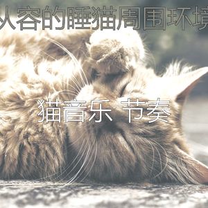 抚慰的睡猫回忆