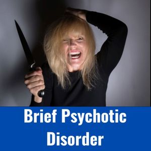 Brief Psychotic Disorder