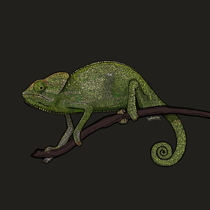 Rosanna (Jazz Version)