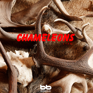 Toll For Rock N Roll