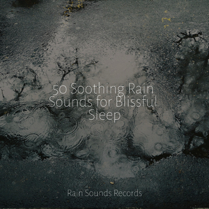 Rustic Symphony of Urban Flow