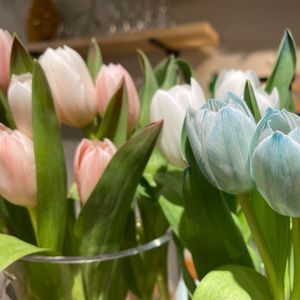 今天的花（女版 翻自 妖扬）