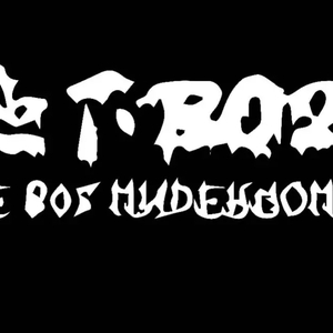 歌唱为我爱的人