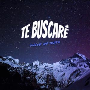 Te Buscaré